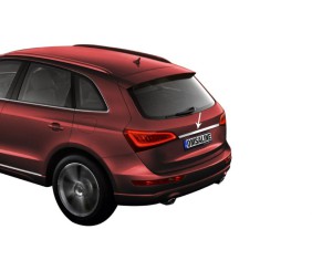 Хром планка над номером (нерж) для Ауди Q5 2017-2025 рр