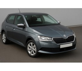 Накладки на дзеркала з вирізом під поворот (2 шт, нерж) для Skoda Fabia 2014-2021 рр