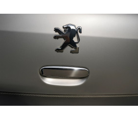 Хром на ручку багажника (нерж) для Peugeot 307 2001-2008 рр