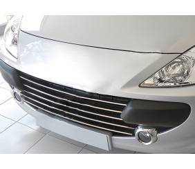 Накладки на решітку (2005-2008, 5 шт, нерж) для Peugeot 307 рр