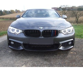 Накладки на решітку для F36 (3 шт) для BMW 4 серія F32/F33/F36 2012-2020 рр
