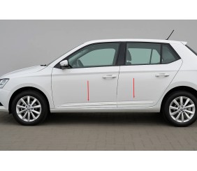 Молдини на двері (4 шт, нерж) для Skoda Fabia 2014-2021 рр