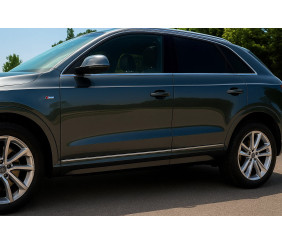 Молдини на двері (4 шт, нерж) для Ауди Q3 2011-2019 рр