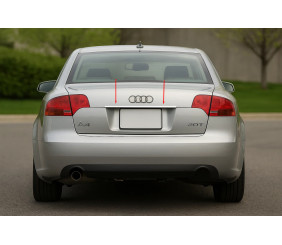 Накладка над номером (Carmos. нерж.) V-2 для Ауди A4 B7 2004-2008 рр