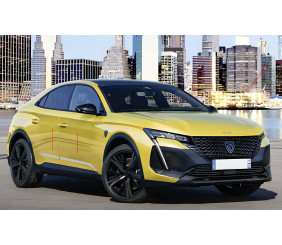 Молдини на двері (4 шт, нерж) для Peugeot 408 2022- рр