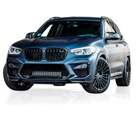 Ніздрі M-Look (Чорний глянець) для BMW X3 G01 2018- рр