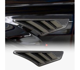 Накладки на крила (2019-2022, Сухий карбон) для Ауди Q8 2018- рр