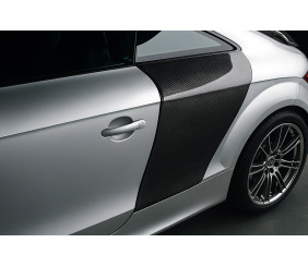 Накладки на задню чверть (Купе, Карбон) для Ауди ТТ 2006-2014 рр