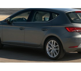 Молдинг бічних стекол (5 дверний, 8 шт, нерж) для Seat Leon 2013-2020 рр