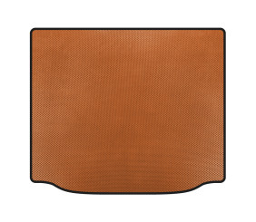 Килимок в багажник (Помаранчевий) для BMW X3 G01 2018- рр