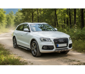 Бокові пороги Duru (2 шт., Алюміній) для Ауди Q5 2008-2017 рр