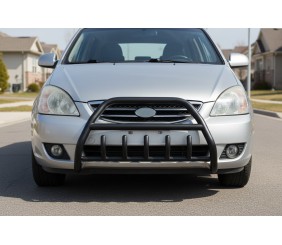 Кенгурятник WT003 Black (нерж) для Kia Carens 1999-2012 рр