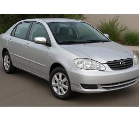 Накладки на дзеркала 2002-2005 (2 шт, пласт.) для Toyota Corolla рр