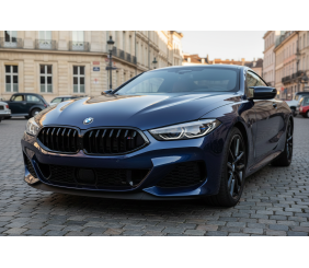 Ніздрі 1-Bar (2018-2022, чорний глянець) для BMW 8 cерія G14/G15/G16 2018- рр