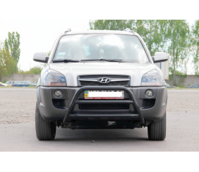 Кенгурятник WT022 Black (нерж.) для Hyundai Tucson JM 2004- рр