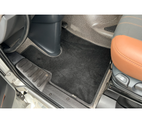 Килимки текстильні Deluxe (Чорний) для DAF XF106 2013-2017 рр