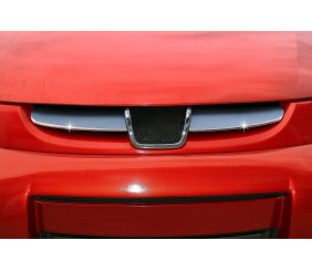 Накладки на решітку радіатора 2004-2008 (2 част., нерж) Carmos - Турецька сталь для Peugeot Partner рр