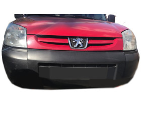 Зимова решітка (2003-2008) Глянцева для Citroen Berlingo рр