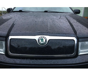 Зимова решітка (верхня) матова для Skoda Octavia I Tour A4 1996-2010 рр