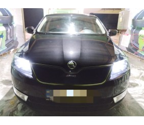 Зимова решітка (верхня) Глянцева для Skoda Rapid 2012-2019 рр