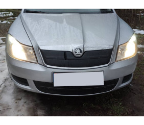Зимова накладка на решітку (верхня) Матова для Skoda Octavia II A5 2010-2013 рр