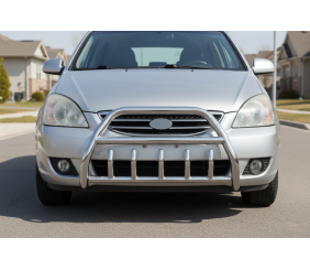 Кенгурятник WT003 (нерж) для Kia Carens 1999-2012 рр