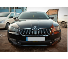 Зимова накладка на решітку (нижня) Глянцева для Skoda Superb 2015-2024 рр