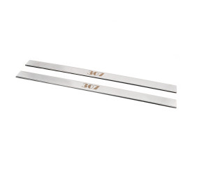 Накладки на пороги Carmos (2 шт, нерж.) для Peugeot 307 2001-2008 рр