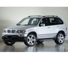Бокові пороги Duru (2 шт, алюм.) для BMW X5 E53 1999-2006 рр