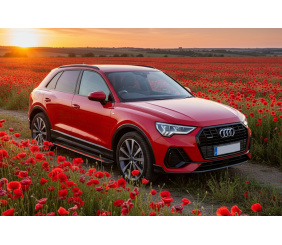 Бокові пороги Maya Red (2 шт., Алюміній) для Ауди Q3 2019- рр