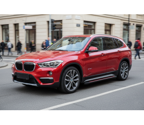 Бокові пороги Maya Red (2 шт., Алюміній) для BMW X1 F48 2015-2022 рр