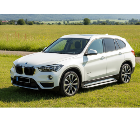 Бокові пороги Allmond Grey (2 шт., Алюміній) для BMW X1 F48 2015-2022 рр