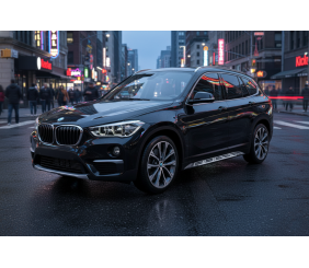 Бокові пороги Sunrise (2 шт., Алюміній) для BMW X1 F48 2015-2022 рр
