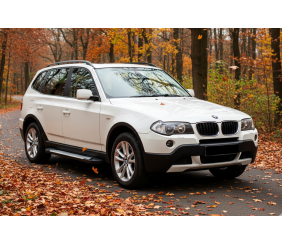 Бокові пороги Allmond Grey (2 шт., Алюміній) для BMW X3 E83 2003-2010 рр