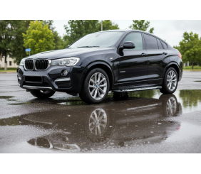 Бокові пороги Line (2 шт., Алюміній) для BMW X4 F26 2014-2018 рр