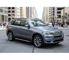 Бокові пороги Maya V1 (2 шт., Алюміній) для BMW X5 F15 2013-2018 рр