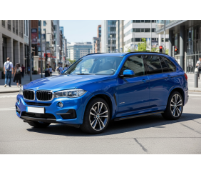 Бокові пороги Maya Blue (2 шт., Алюміній) для BMW X5 F15 2013-2018 рр