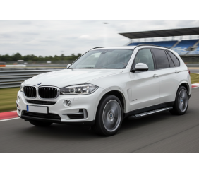 Бокові пороги Line (2 шт., Алюміній) для BMW X5 F15 2013-2018 рр