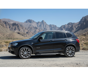 Бокові пороги Line (2 шт., Алюміній) для BMW X3 F25 2011-2018 рр