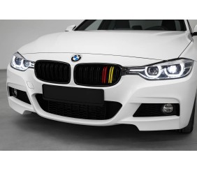 Ніздрі M-Look (German Color) для BMW 3 серія F30/F31 2012-2019 рр
