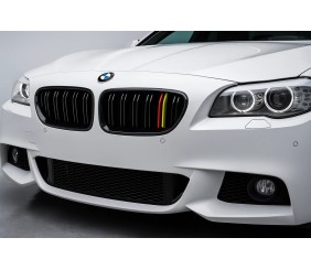 Ніздрі M-Look (German Color) для BMW 5 серія F10/F11 2010-2016 рр