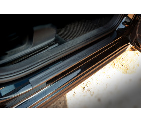 Накладки на пороги DDU (4 шт, пластик) для Volkswagen Passat B7 2012-2015 рр