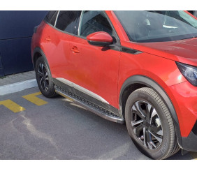 Молдинг дверний (4 шт, нерж) для Peugeot 2008 2019- рр