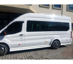 Бокові пороги (під фарбування) для Ford Transit 2014- рр