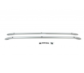 Інтегровані рейлінги (сірі) Коротка база для Opel Combo 2019- рр