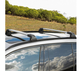 Багажник (поперечини) на інтегровані рейлінги Strong V2 120 см (2 шт) Сірий для KIA EV9