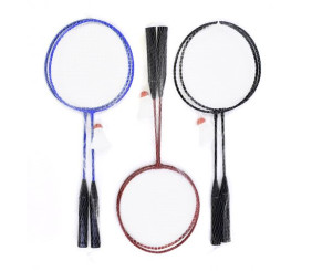 Бадмінтон в сітці