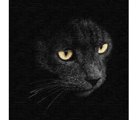 Картина за номерами "Погляд хижака" ★★★★★