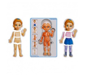 Сортер- пазл "Анатомія людини. Дівчинка"
