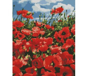 Алмазна мозаїка "Дивовижні маки"